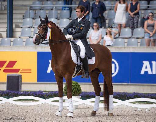 Grandes resultados por parte de jinetes y amazonas navarros en Campeonatos Internacionales